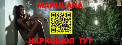 крисы Краснодар