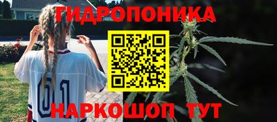 apvp Краснокаменск