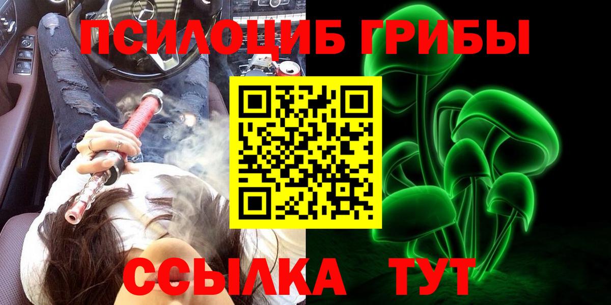 Галлюциногенные грибы Cubensis Йошкар-Ола