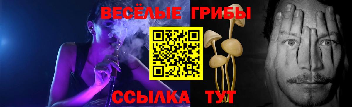 Галлюциногенные грибы GOLDEN TEACHER  Вход с VPN  Йошкар-Ола 
